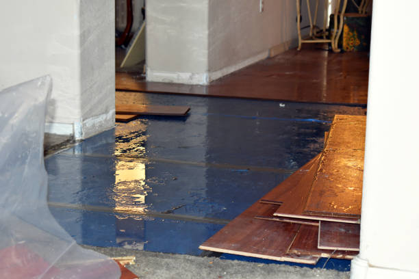Professional Flood Cleanup technician working in Malta, IL